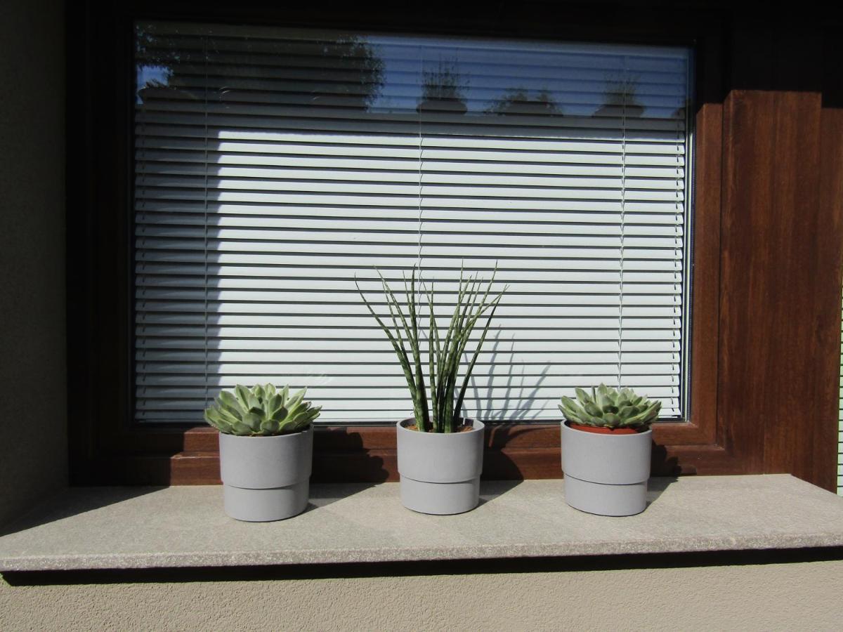 Apartma Melinc *